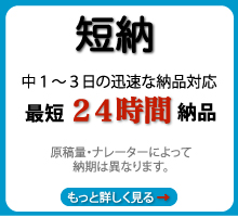 迅速・音声納品